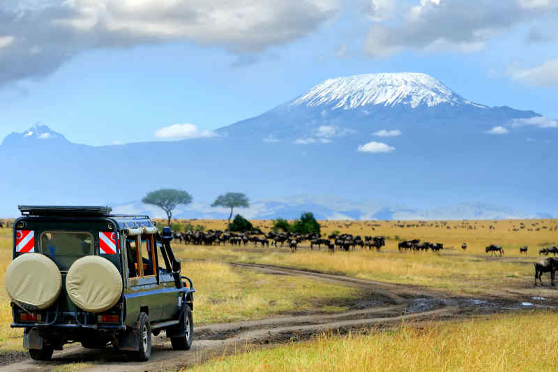 Kenya Safari – 2024 travel bucket list