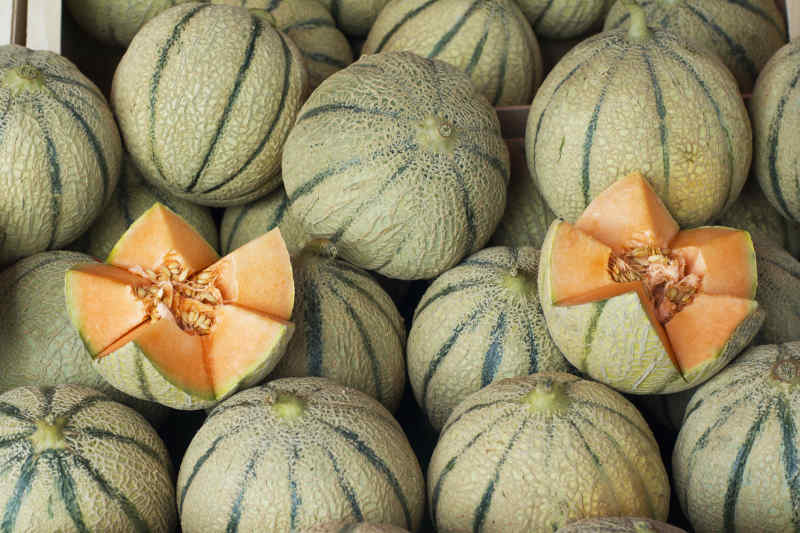 Cavaillon melons