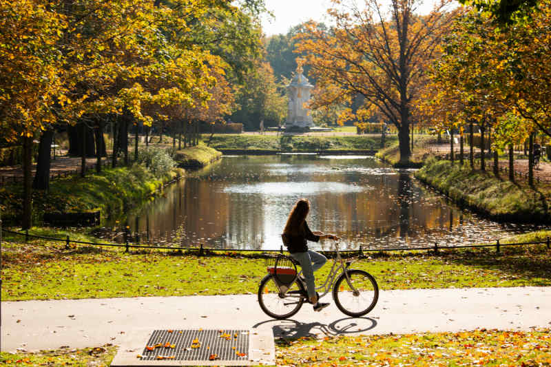 Berlin in Fall