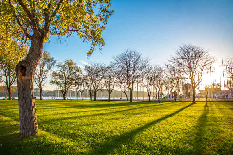 Lisbon in Fall