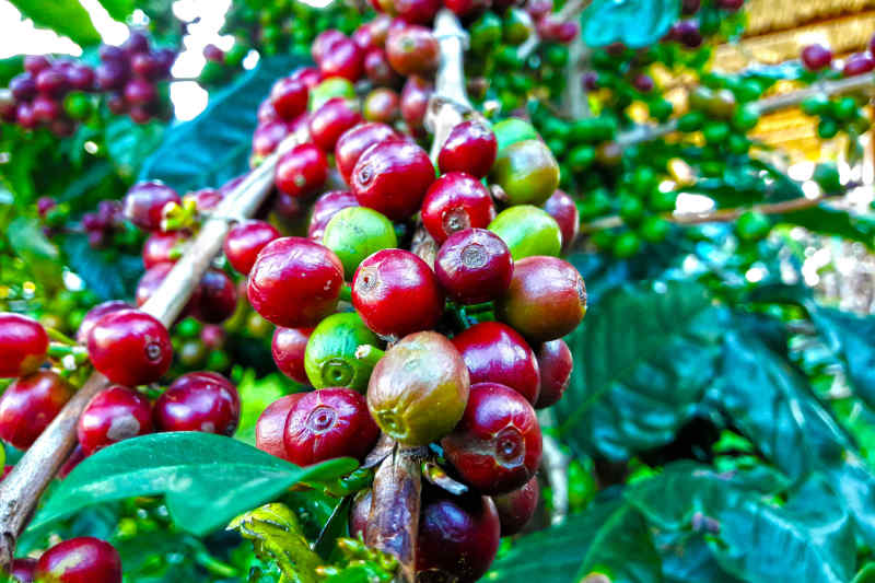 10 Reasons to Visit Costa Rica