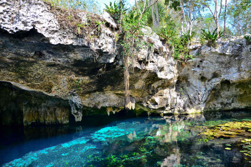 Gran Cenote, Riviera Maya, Mexico