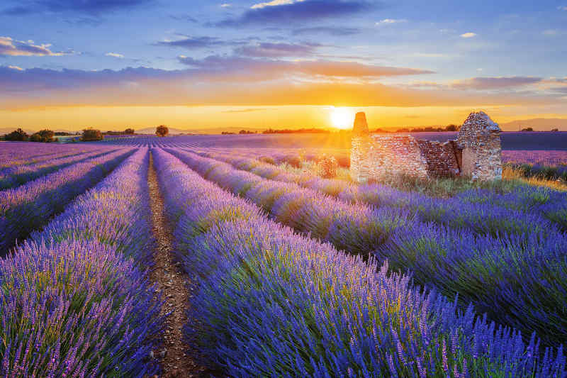 Provence