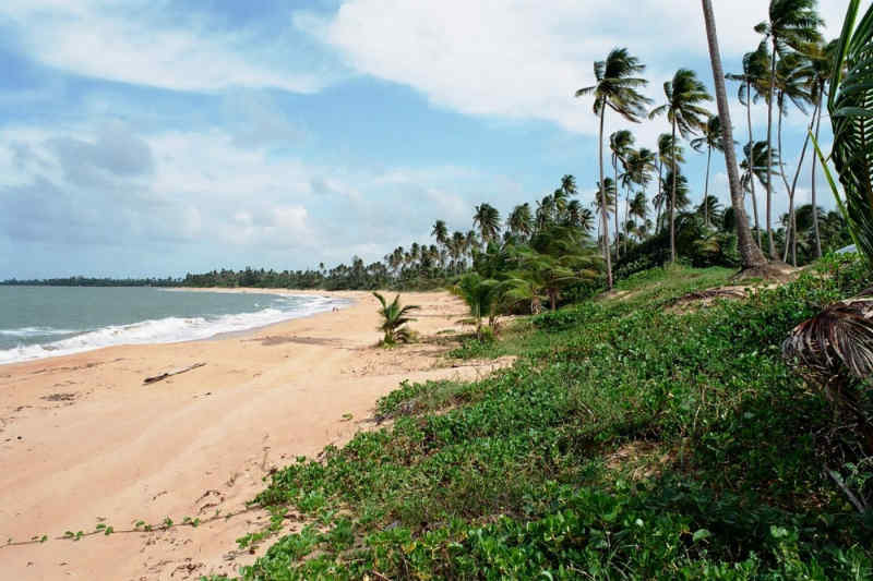 Piñones Beach in Puerto Rico