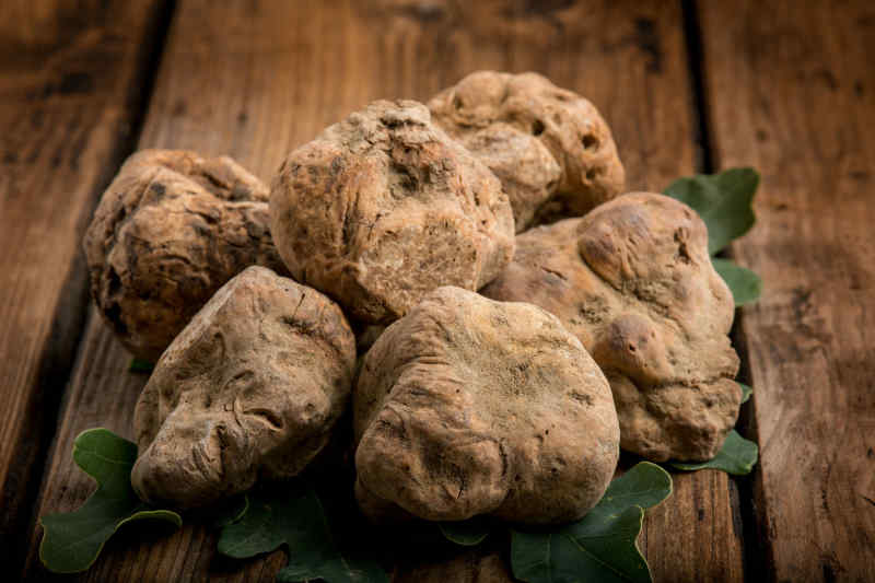 White truffles