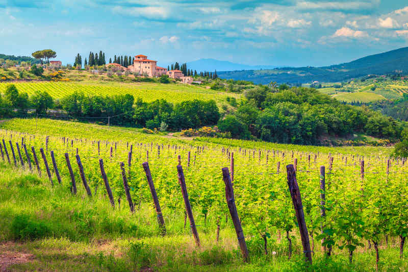 Chianti Wine Region, Tuscany