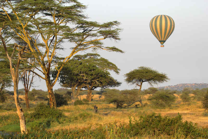 Hot Air Balloon in Africa