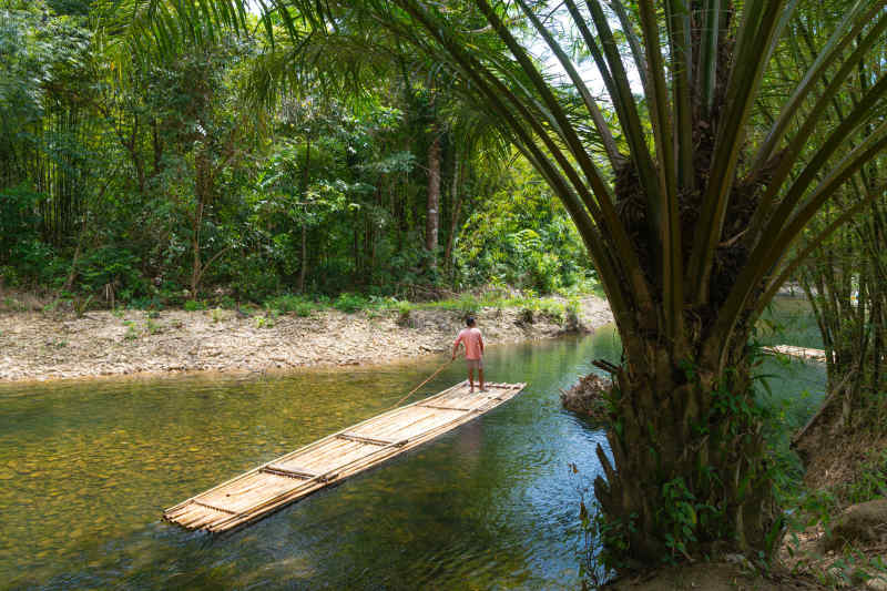 Bamboo raft