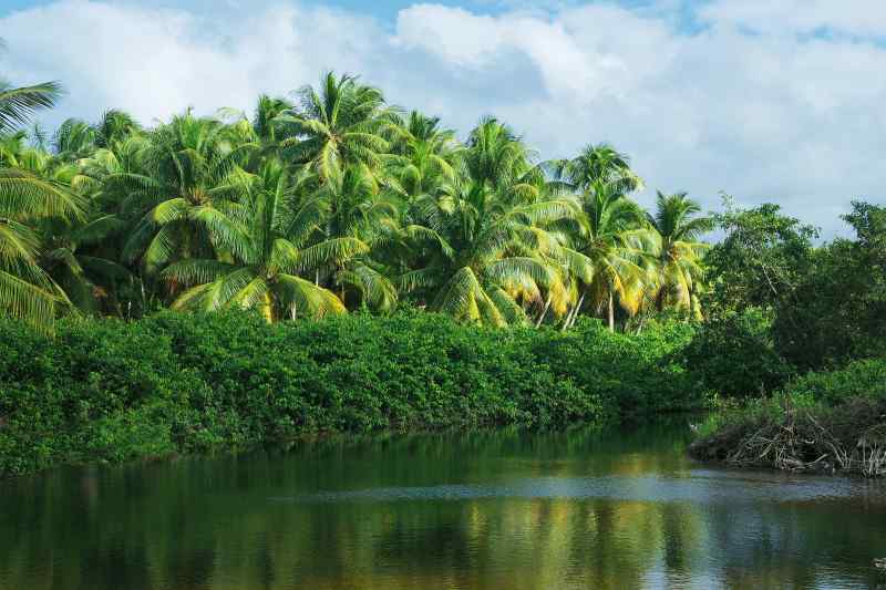 Indigenous Eyes Ecological Park & Reserve