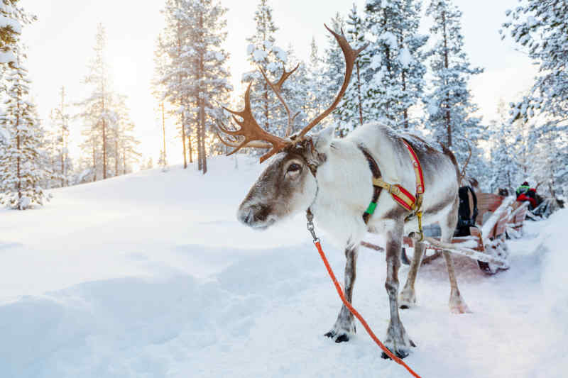 Rovaniemi, Finland