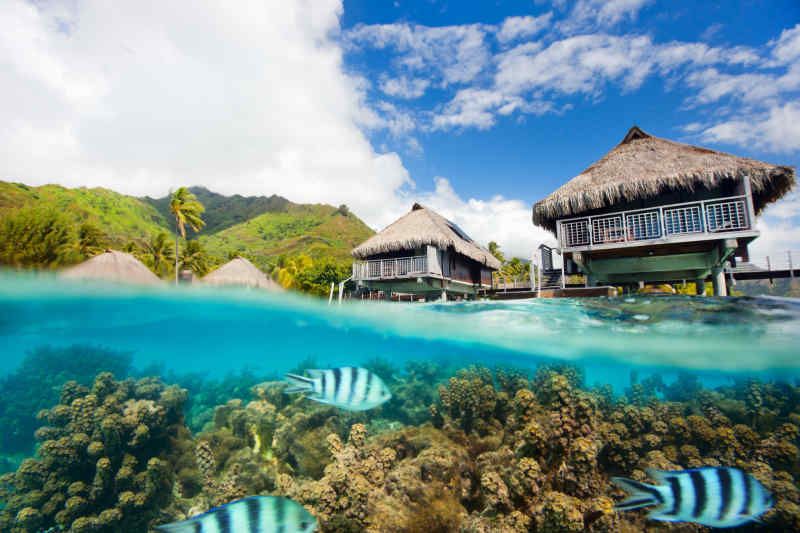 Moorea, French Polynesia