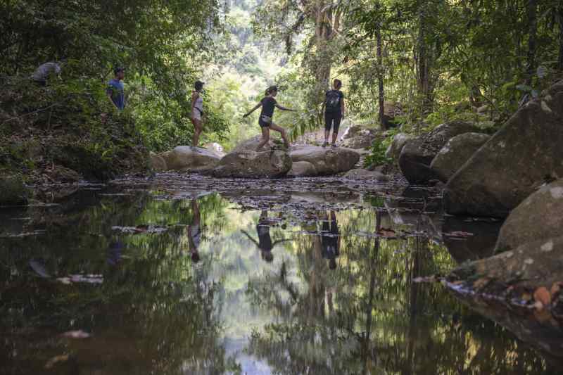 Hiking in Khao Sok National Park, Thailand