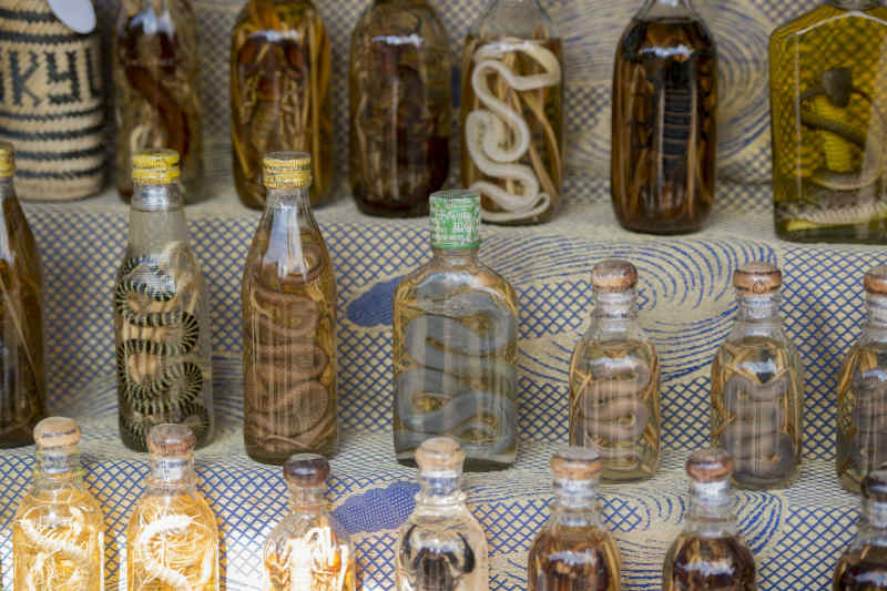 Snake Wine