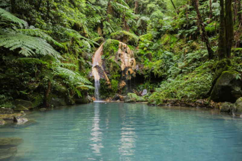 A serene waterfall cascades through lush greenery in a vibrant tropical forest.