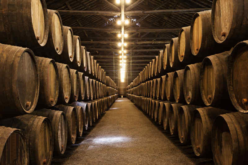 Wine Cellars in Porto