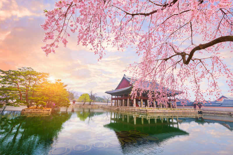 Gyeongbokgung Palace • South Korea