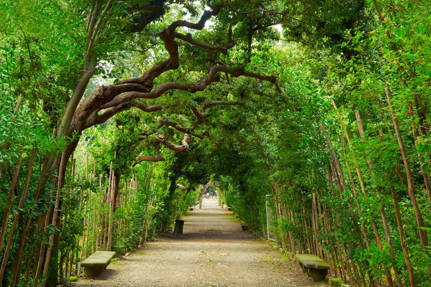 Boboli Gardens