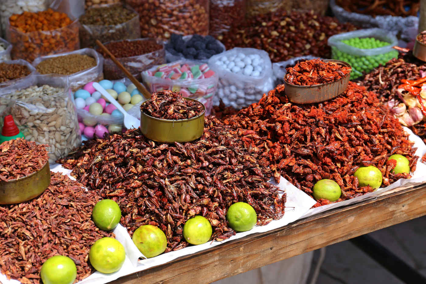 10 Surprising Facts About Mexico