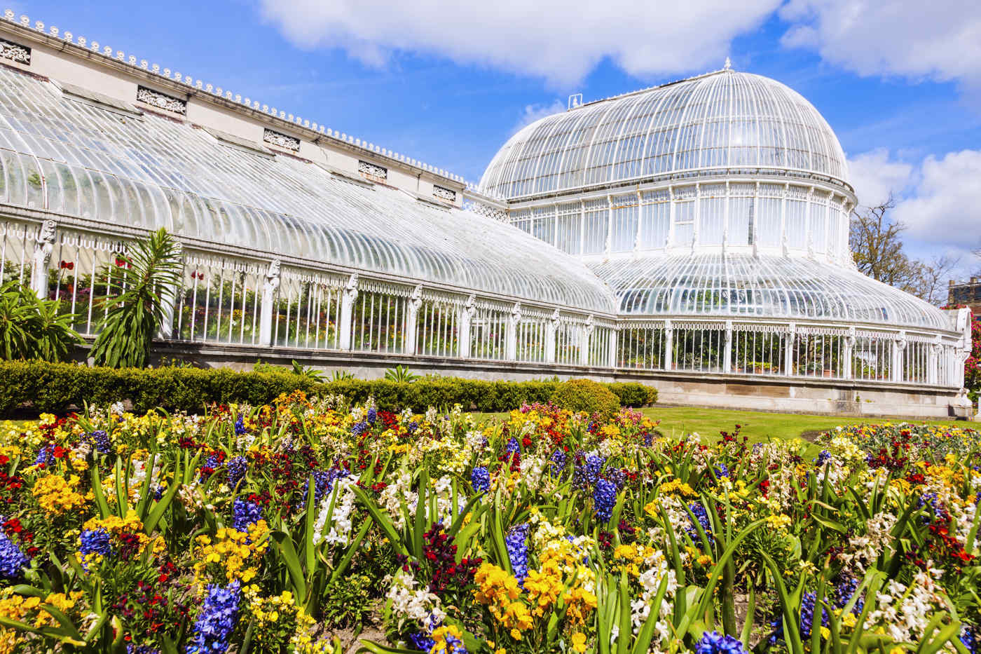 Belfast Botanic Gardens • Belfast, Northern Ireland