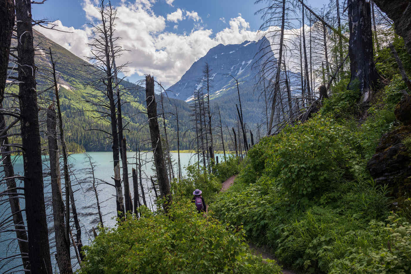 Glacier National Park, Montana