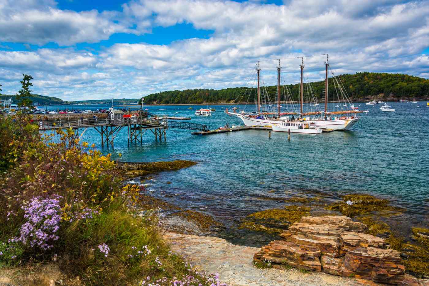 Bar Harbor