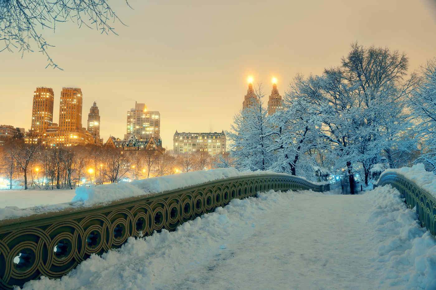 New York City Christmas Lights 2024 Aili Rosanna