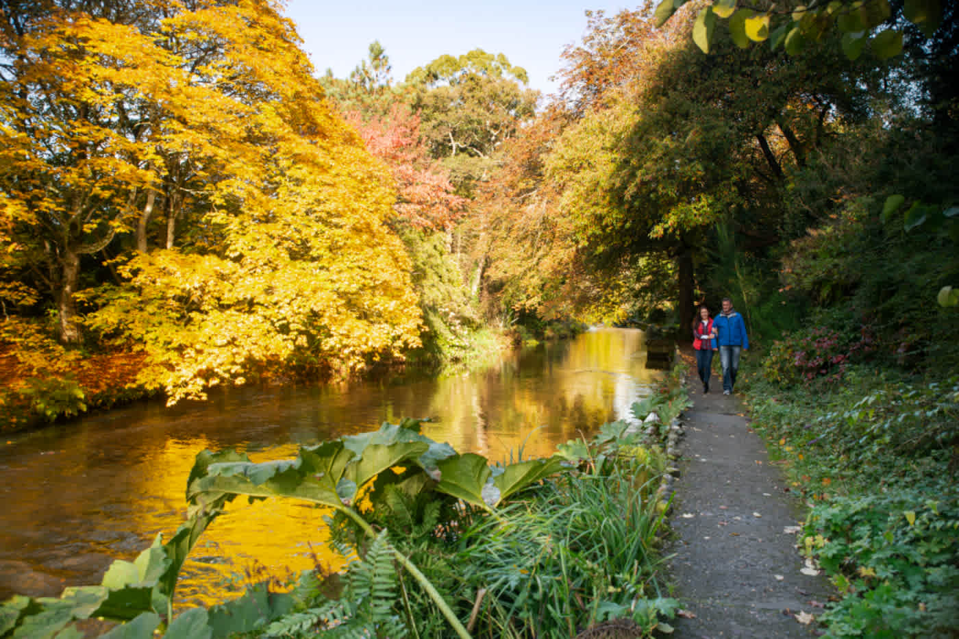 Mount Usher Gardens, Wicklow