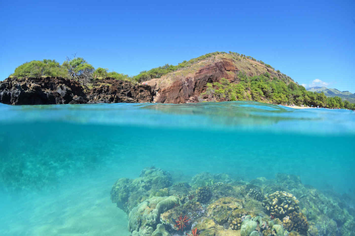 Makena Reef