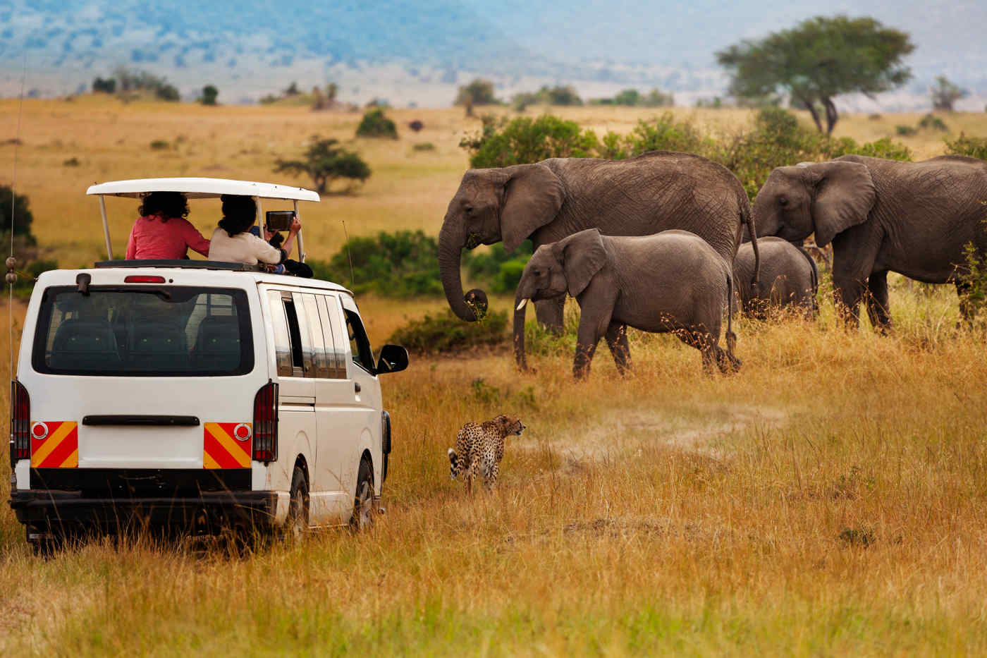 Masai Mara National Reserve