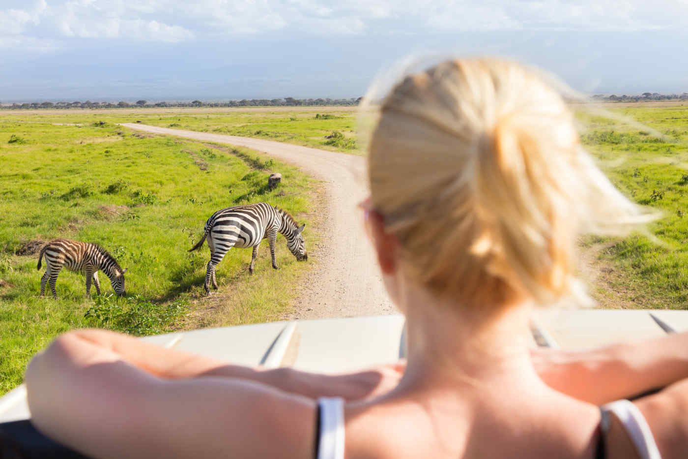 Safari in South Africa