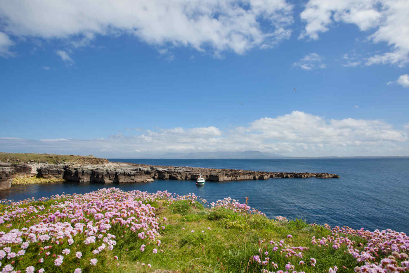 Sligo Coastline