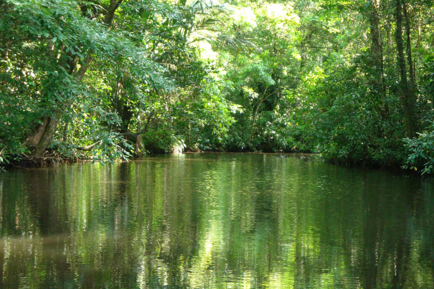 Tortuguero National Park