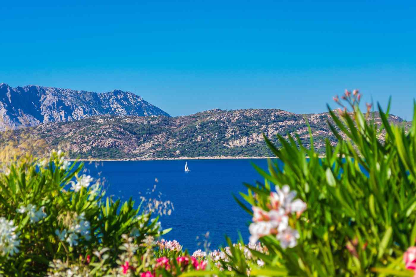 Capo Coda Cavallo