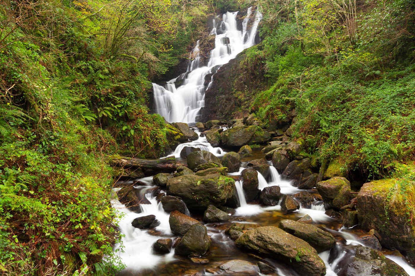 Torc Waterfall • Killarney National Park