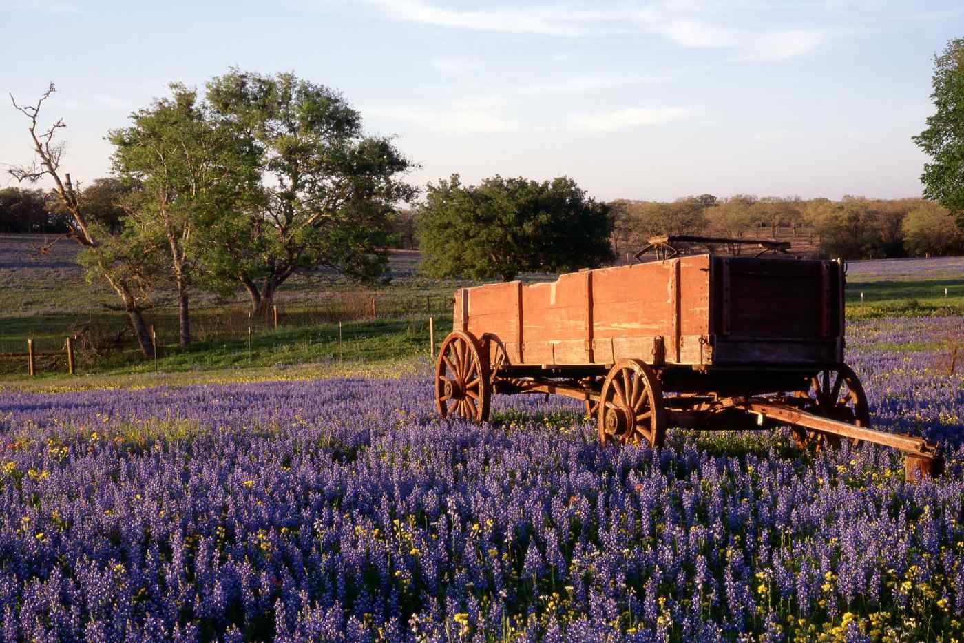 Texas Hill Country