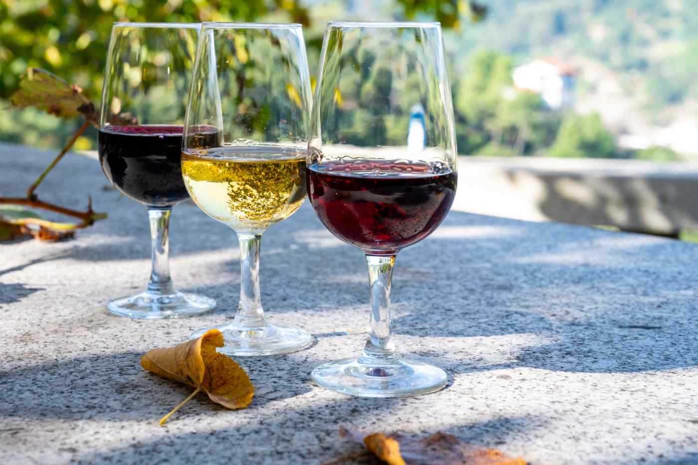 Wine tasting in Porto