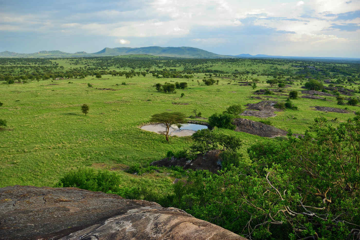 Serengeti, Tanzania