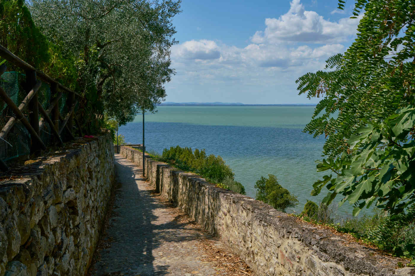 Lake Trasimeno trail