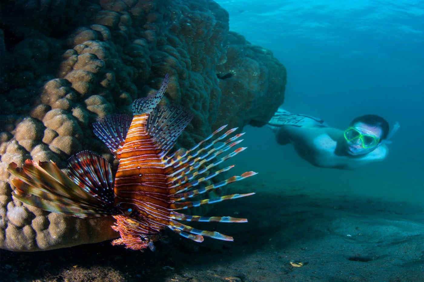 Snorkeling at Machangulo Beach Lodge