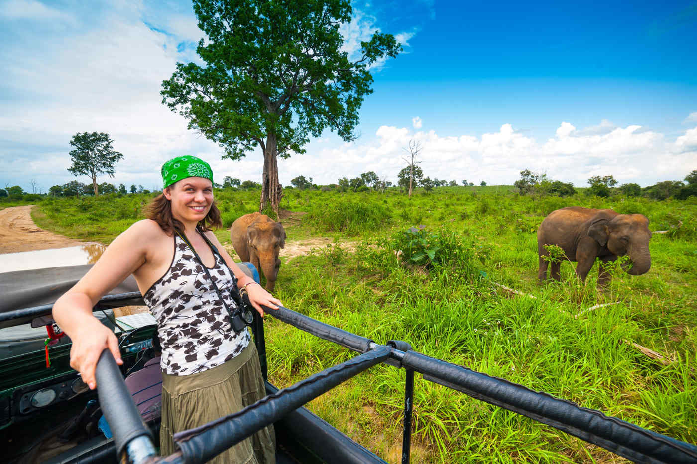 Kruger National Park in South Africa