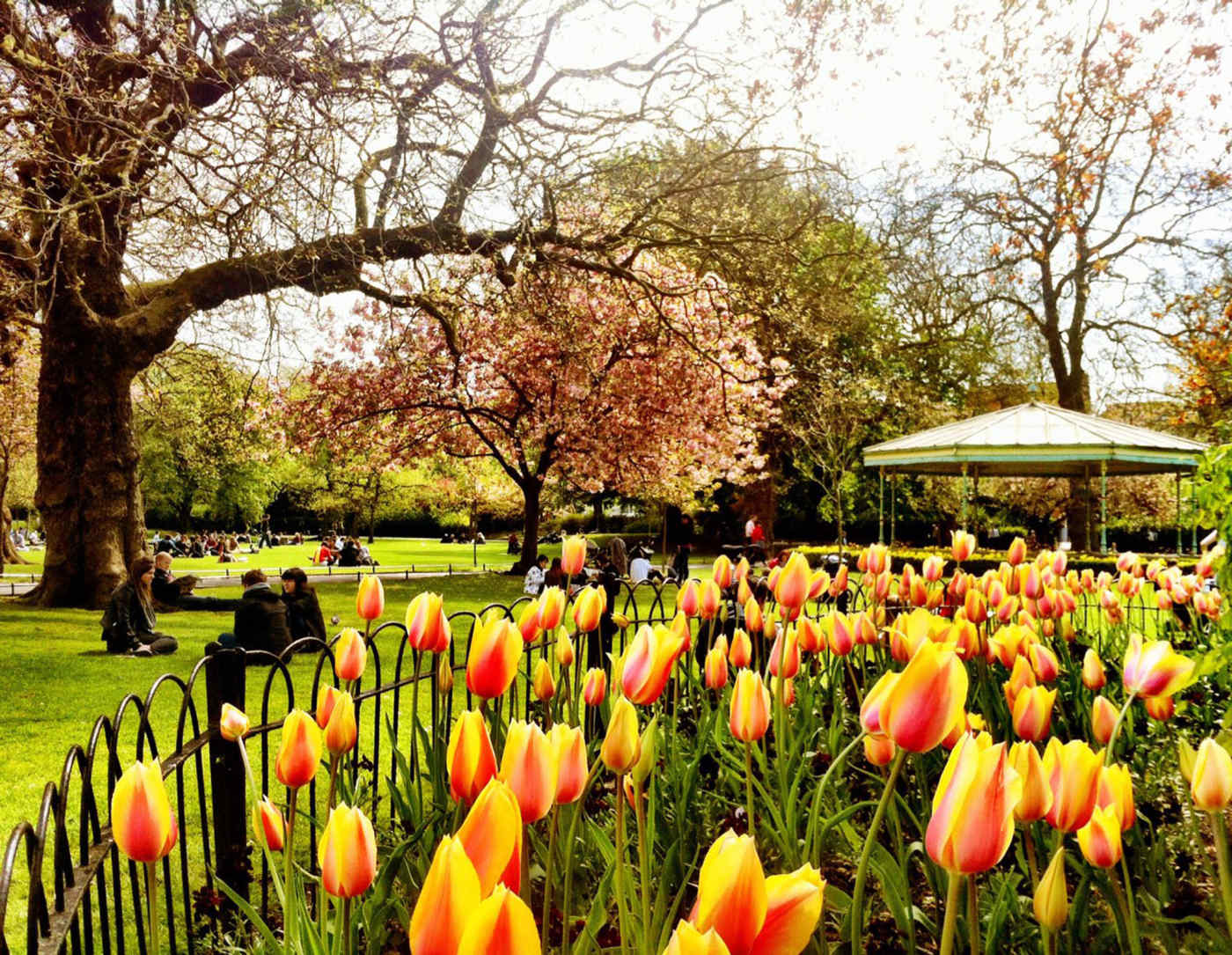 St Stephens Green