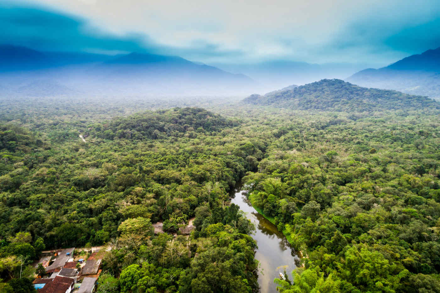 Travel Guide to the Amazon Rainforest