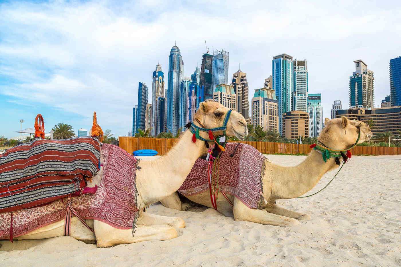 Beach in Dubai