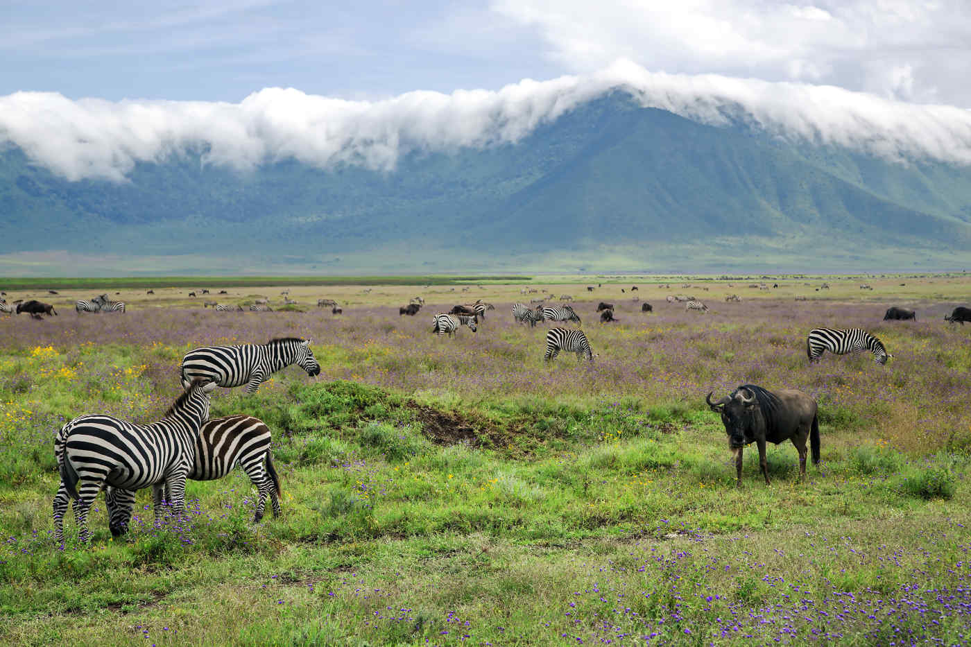 Ngorongoro Crater