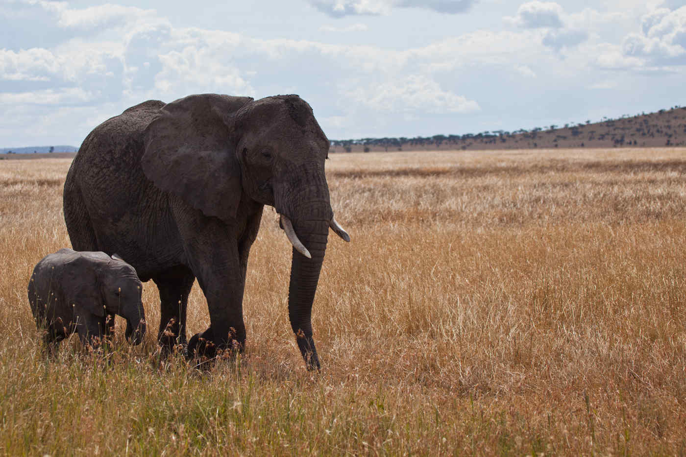 Serengeti National Park