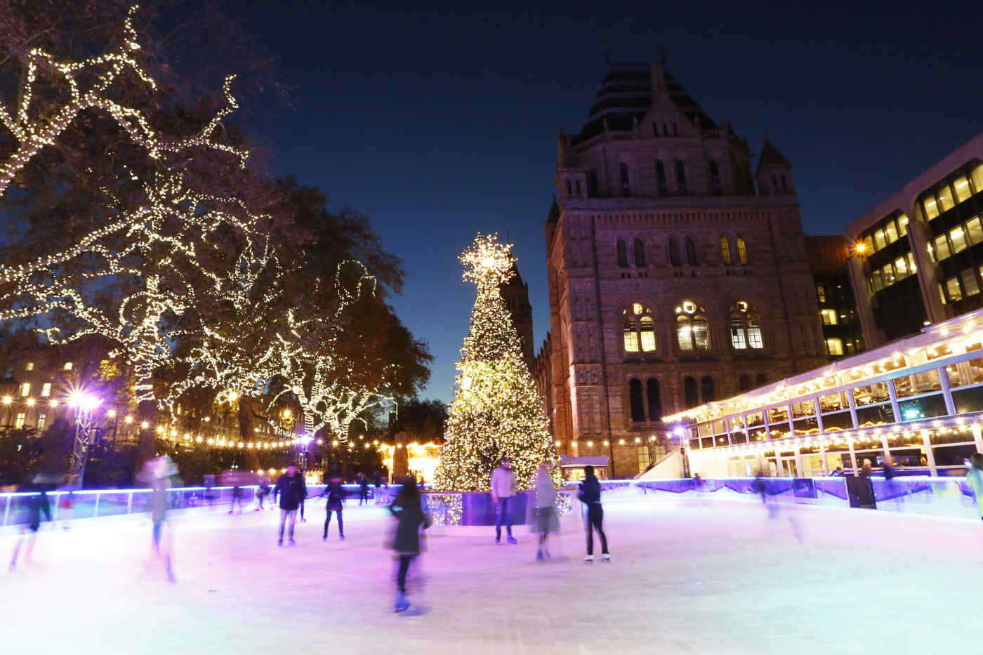 Natural History Museum, London