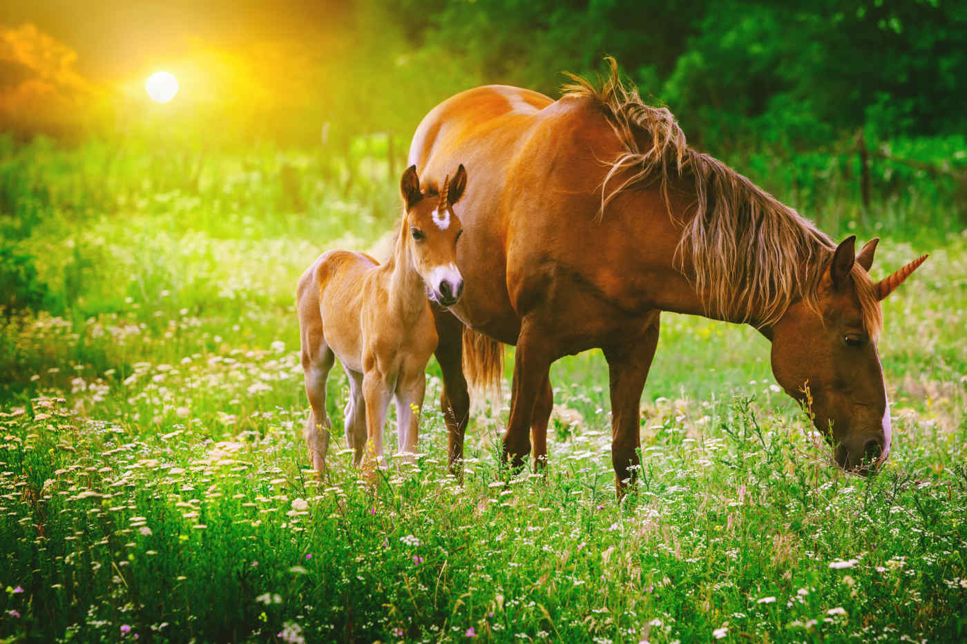 Here's Why Scotland's National Animal is the Unicorn