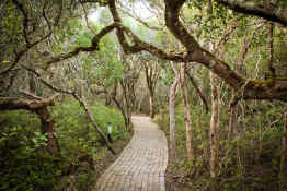 Grootbos Private Nature Reserve