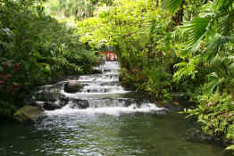 Tabacon Hot Springs