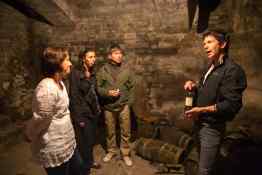 Small Group Tuscany Wine & Olive Oil Tour